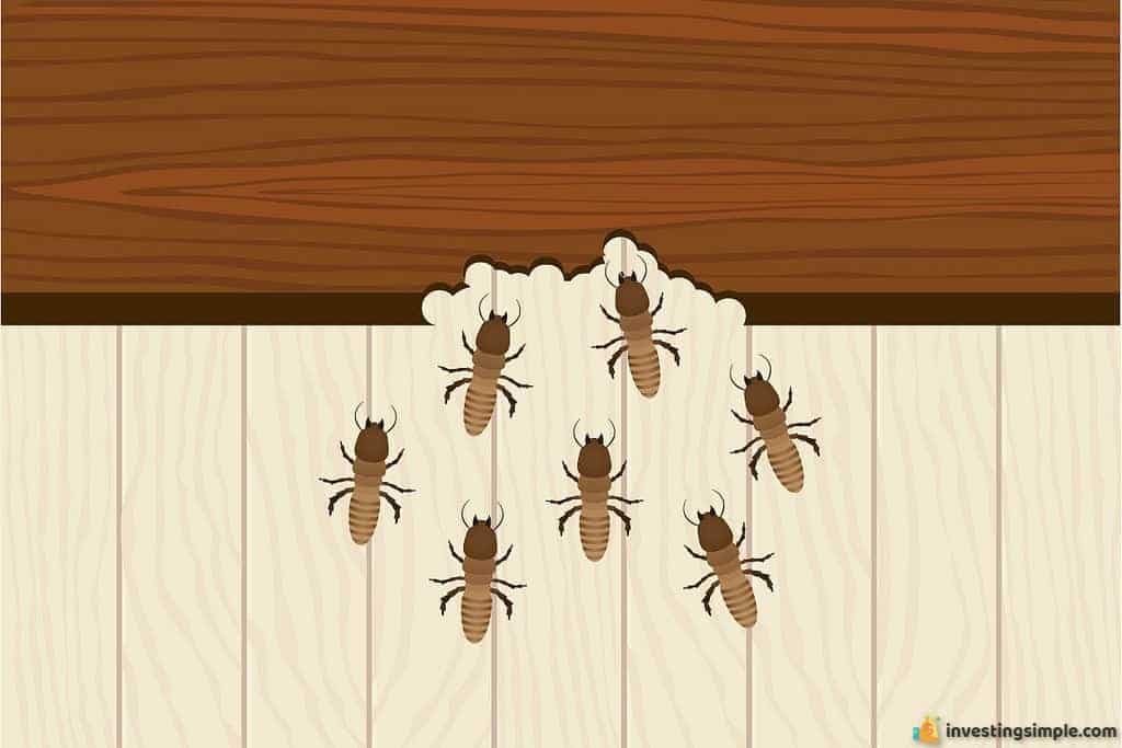 One of the core lessons stock market beginners must understand is inflation. It is similar to termites where it slowly eats away at the buying power of your money.