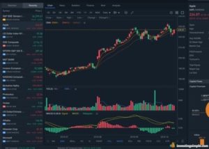 webull fundamental data