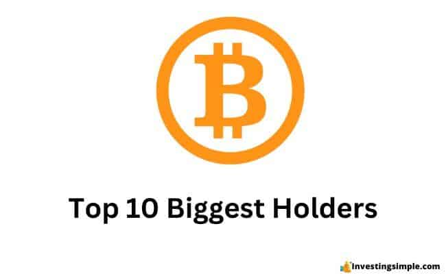 the 10 biggest Bitcoin owners in the world